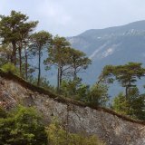 Des travaux archéologiques vont débuter près du bois de Finges.